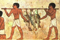 /album/textos-num-contexto/peixes2-jpg/